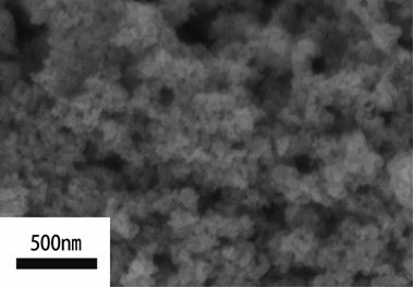 Method for preparing calcium titanate nanoparticles