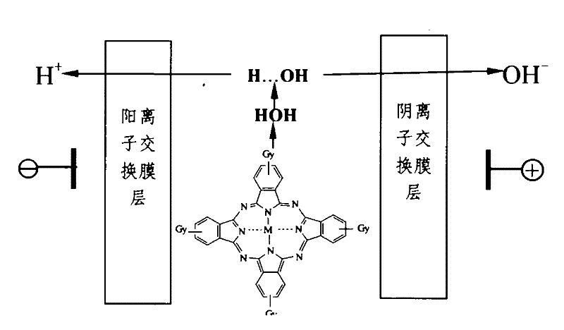 A kind of bipolar membrane and preparation method thereof