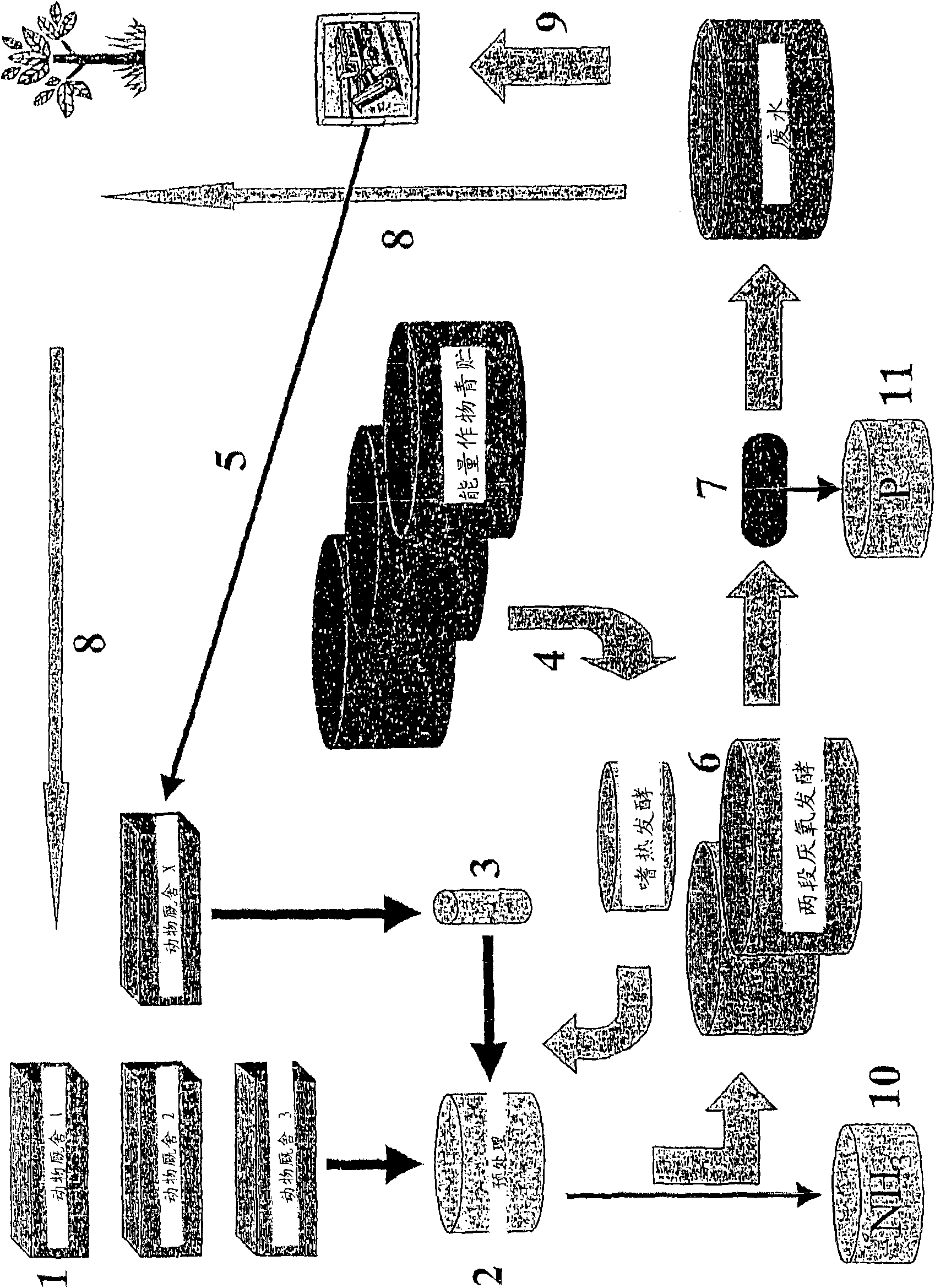 Concept for slurry separation and biogas production