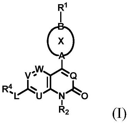 Aryl or heteroaryl pyridone or pyrimidone derivative as well as preparation method and application thereof