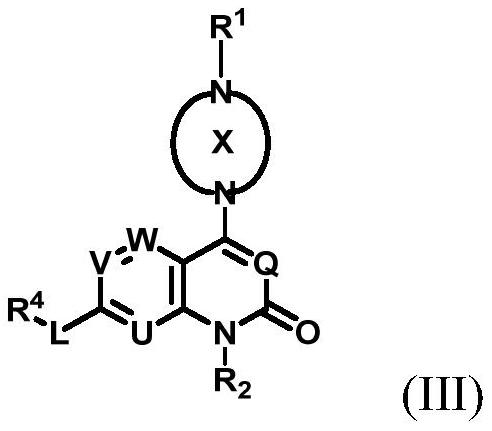 Aryl or heteroaryl pyridone or pyrimidone derivative as well as preparation method and application thereof