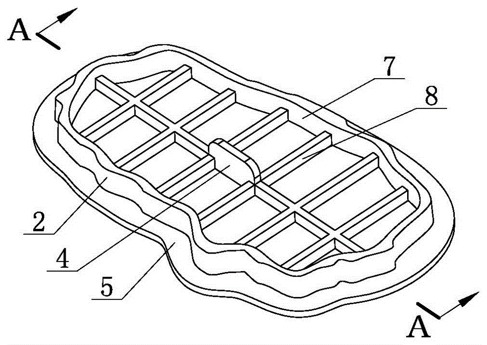 Pituitary adenoma operation patch and producing method thereof