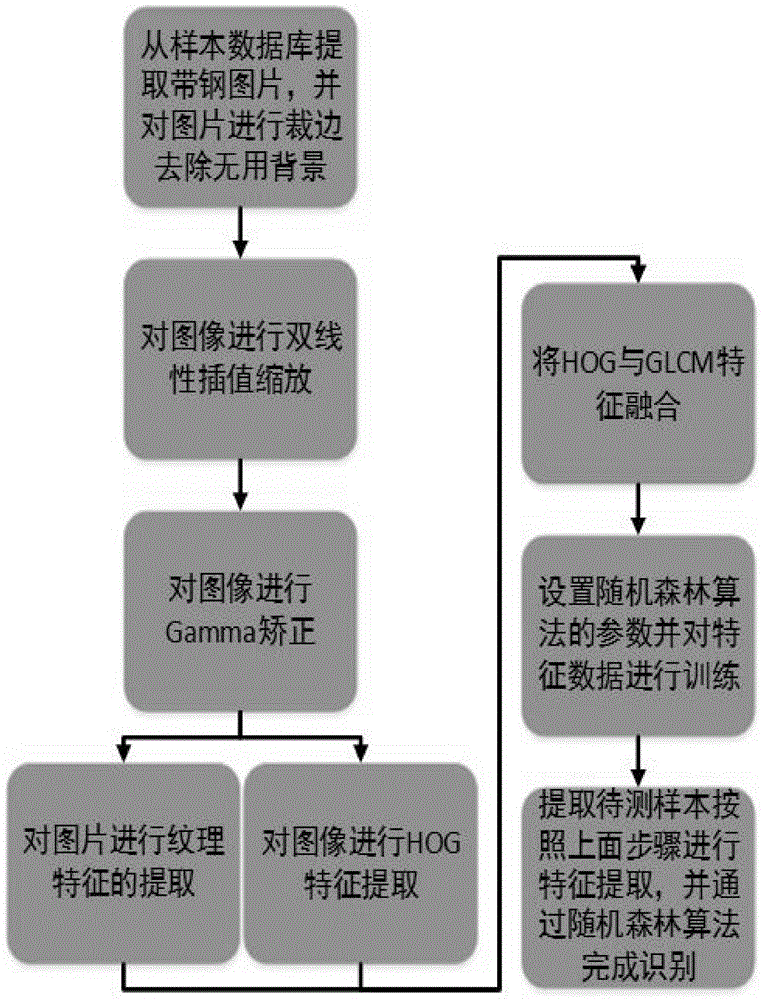Strip steel surface area type defect identification and classification method
