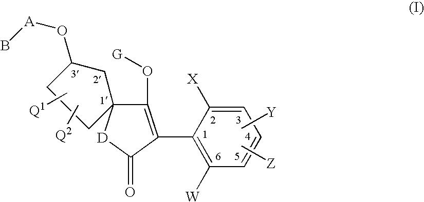 3′-alkoxyspirocyclopentyl-substituted tetramic and tetronic acids