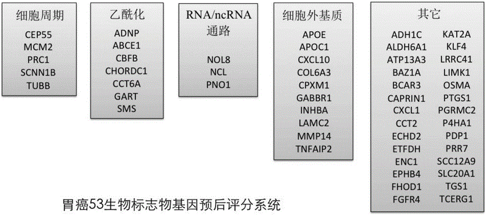 Application of group of gastric cancer genes