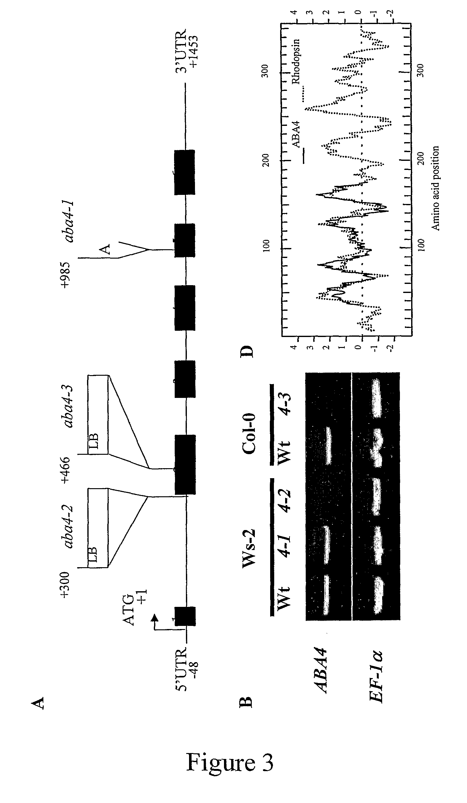 Plants with increased tolerance to water deficit