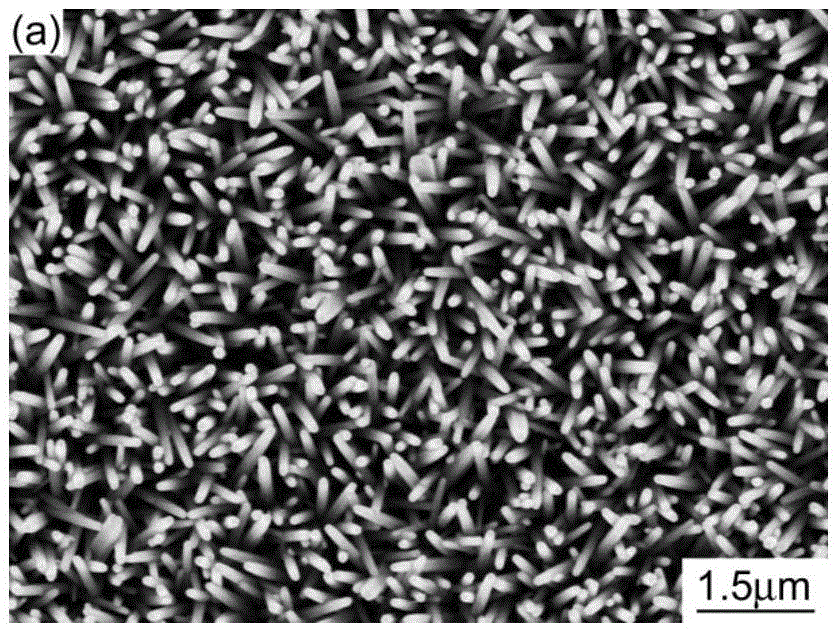 A kind of fes2 thin film and preparation method thereof