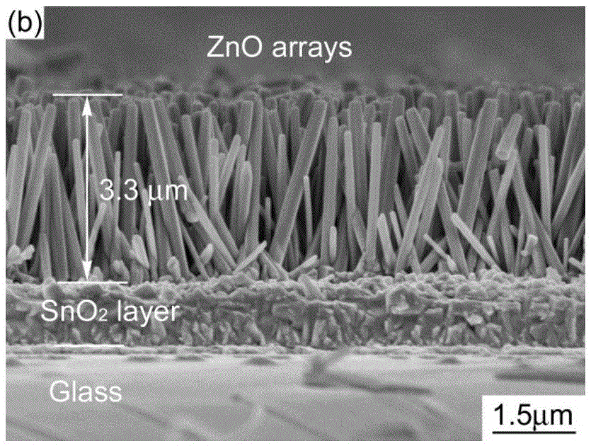 A kind of fes2 thin film and preparation method thereof