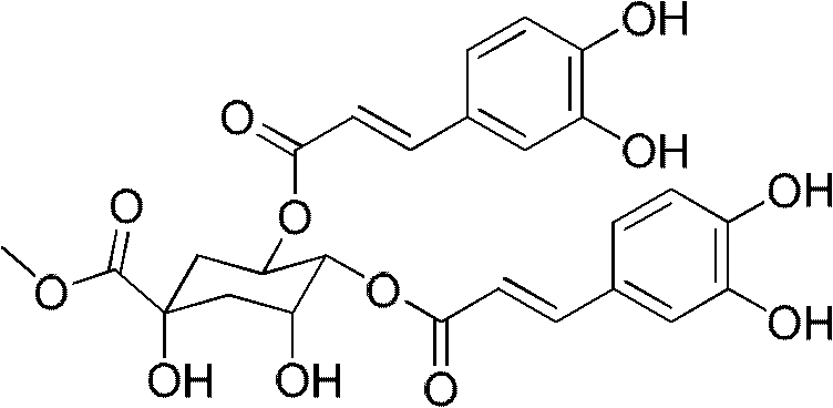 Application of caffeoylquinic acid and its derivatives in the preparation of anti-complement drugs