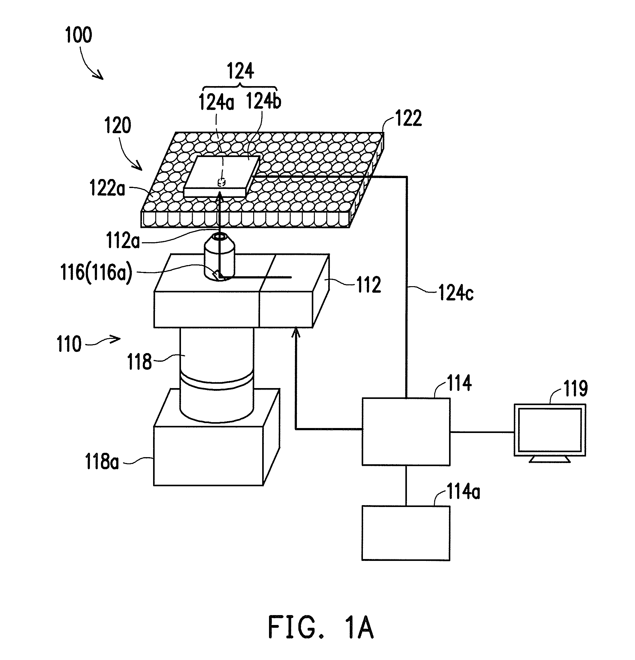 Biological detection calibration system and operating method thereof