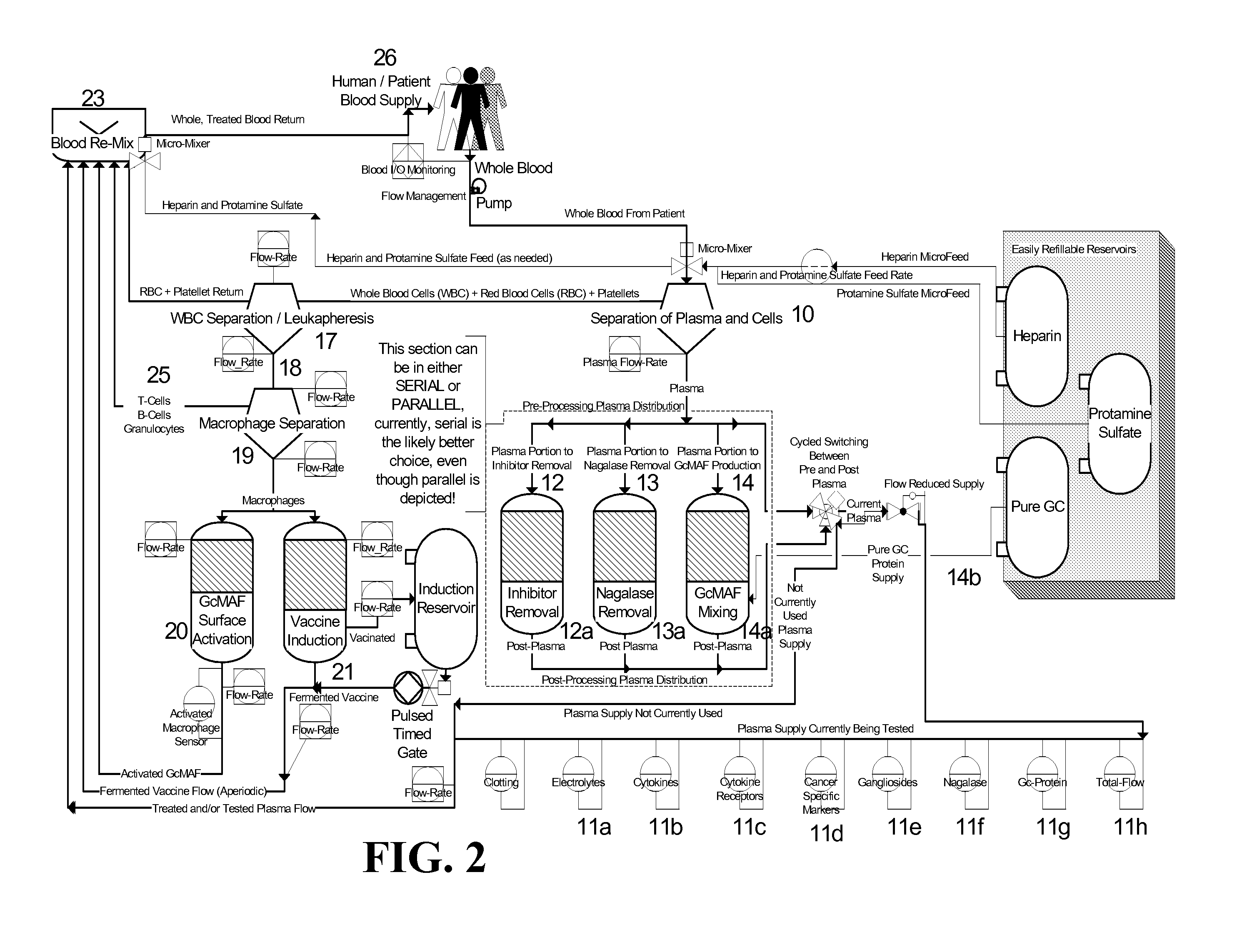 Tumoricidal, bactericidal, or viricidal macrophage activation