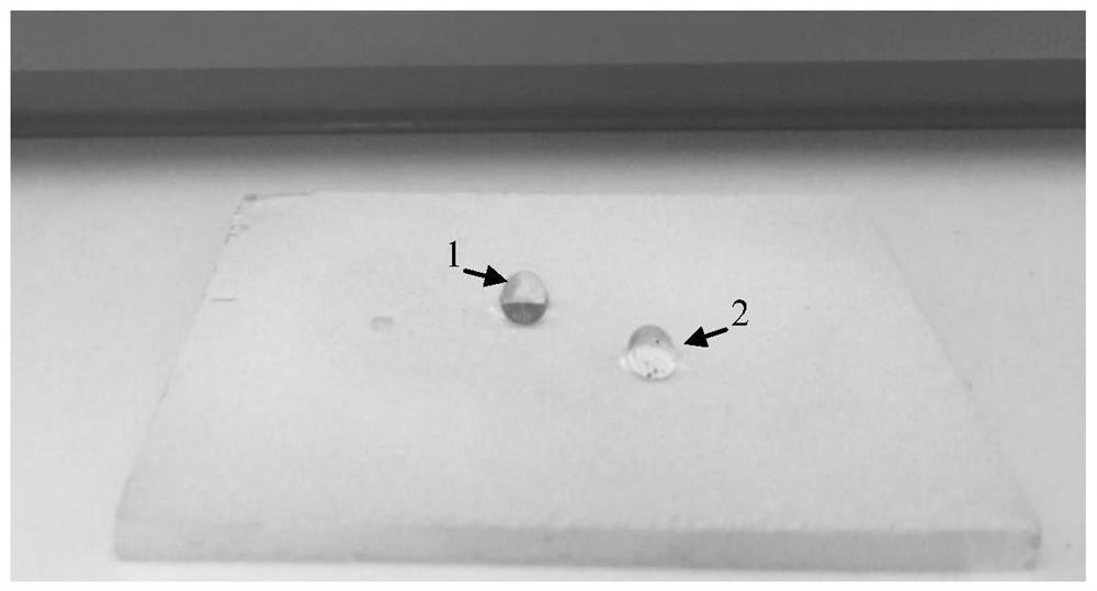 An integrated wear-resistant fluorine-silicon-based superamphiphobic coating on the bottom surface and its preparation method and application