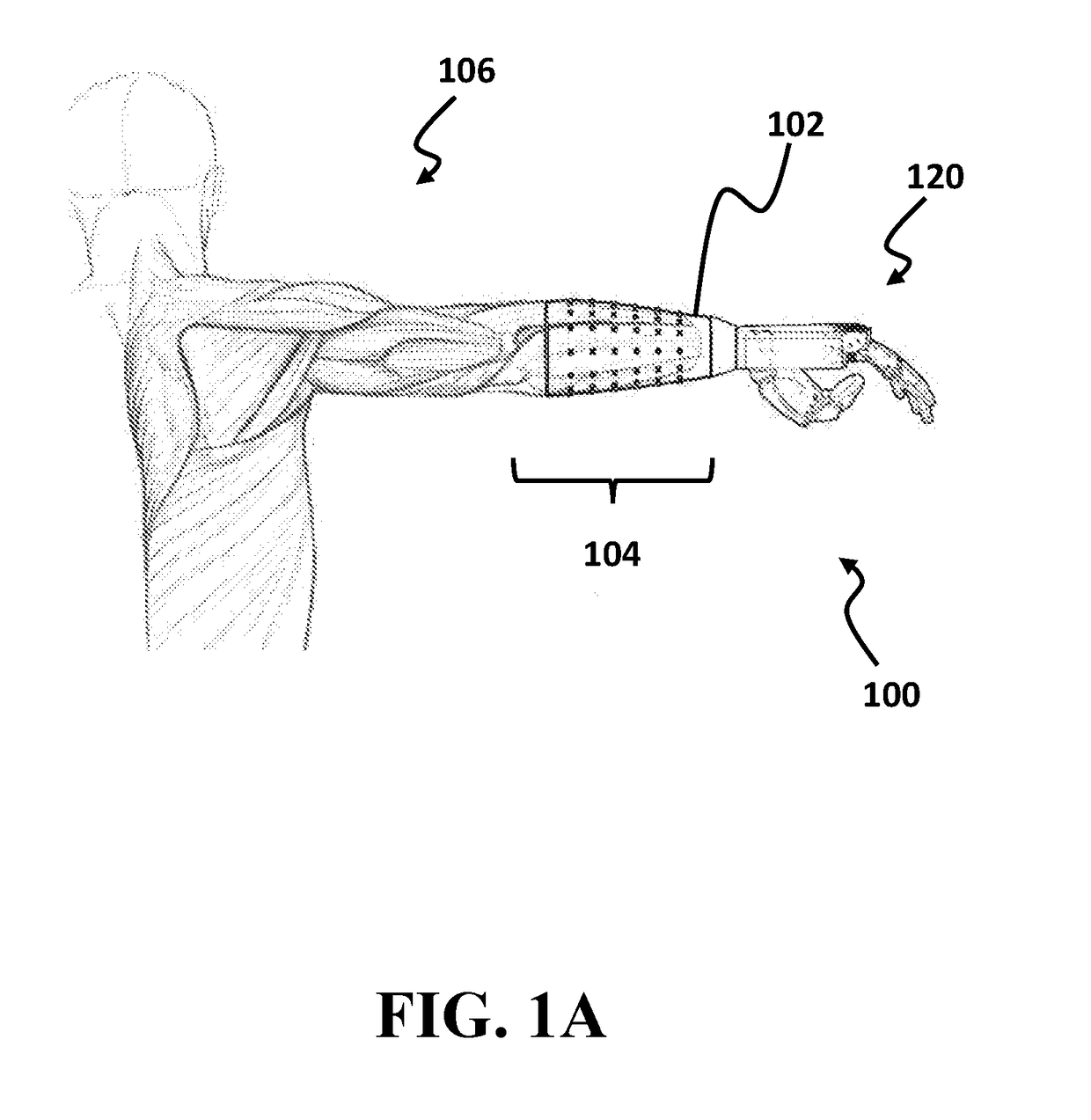 System and method for muscle movements detection