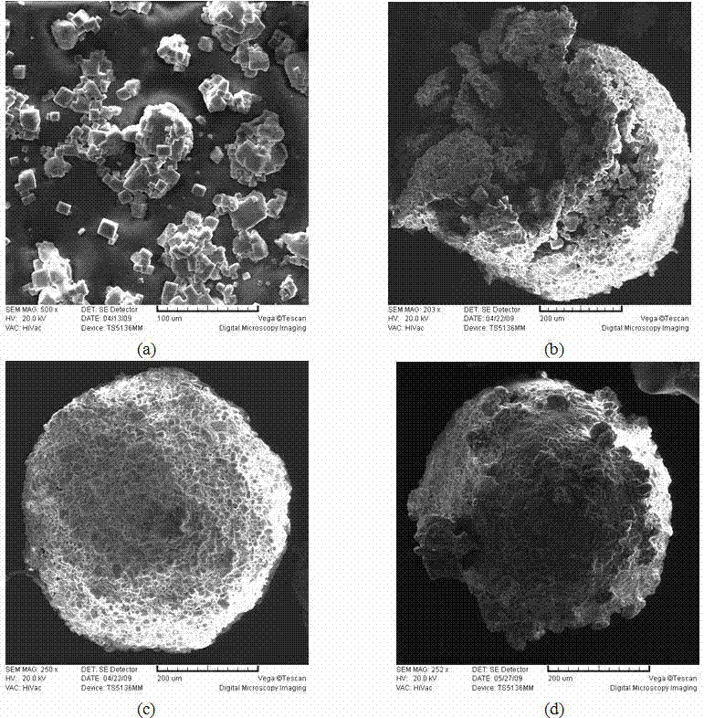 Water-soluble pore-foaming agent, porous scaffold and preparation method of porous scaffold