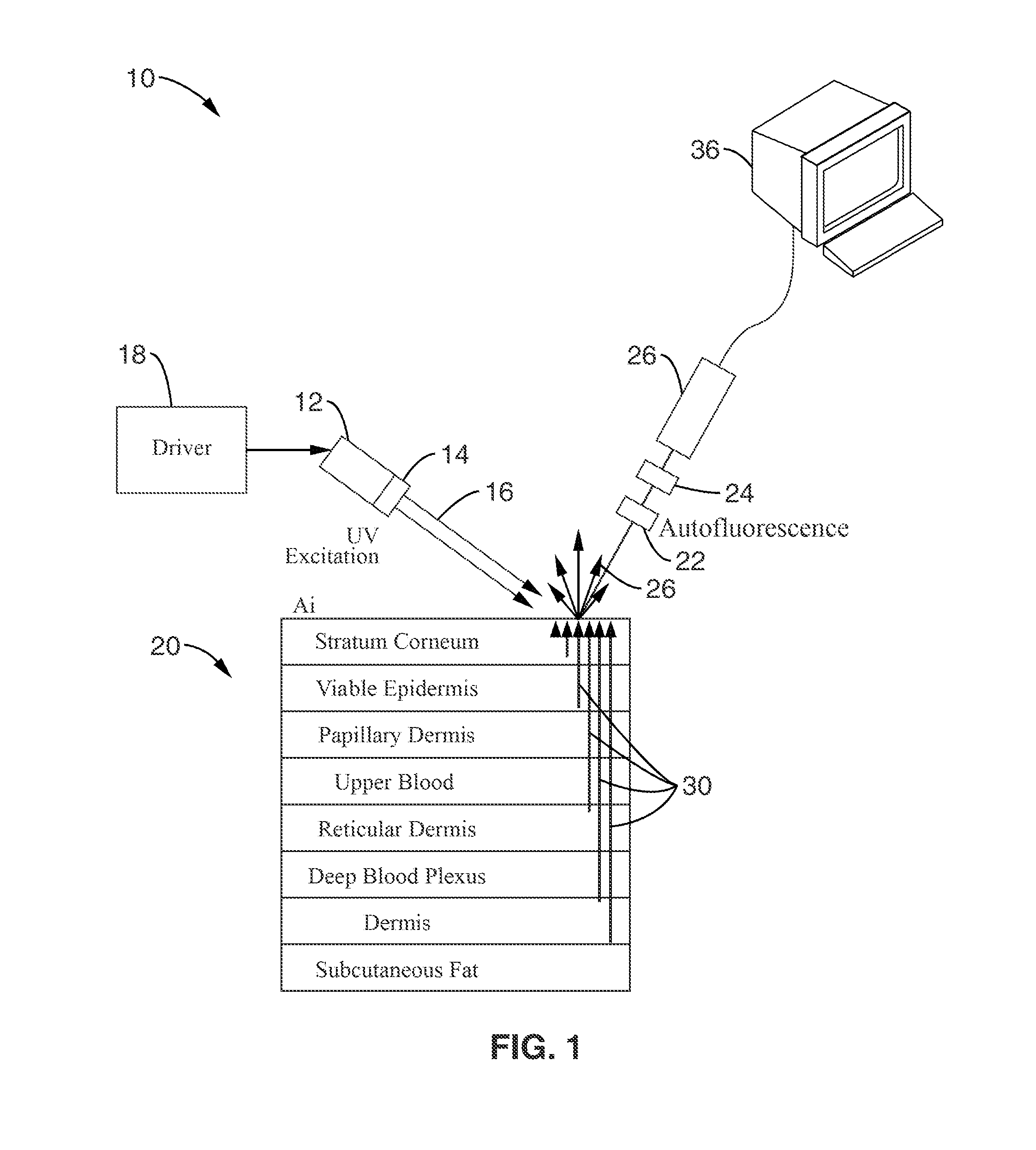 Time-resolved non-invasive optometric device for medical diagnostic