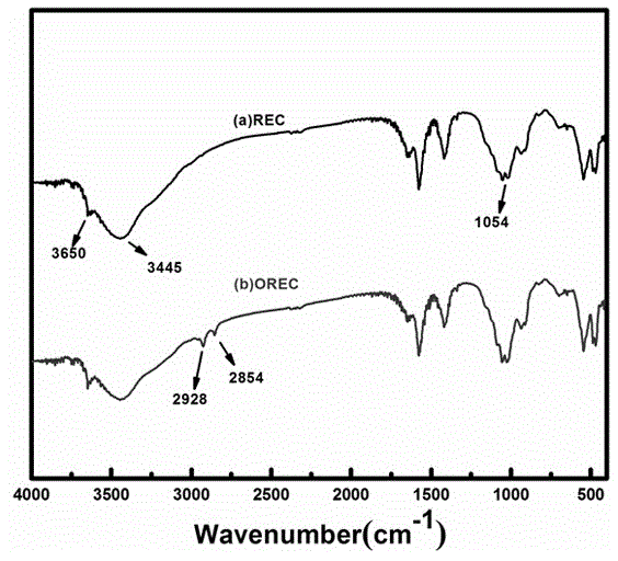 Organic modified rectorite/EVA composite foam material and preparation method and application thereof