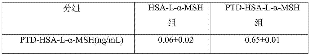 Fusion protein of alpha-melanophore stimulating hormone and preparation method and application thereof