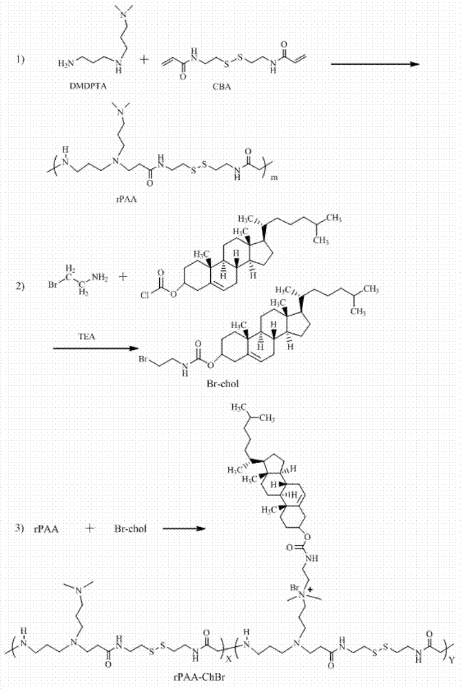 Cholesterol-modified biodegradable polycation carrier as well as preparation method and application thereof