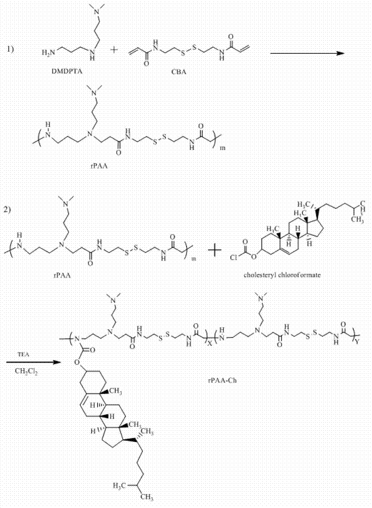 Cholesterol-modified biodegradable polycation carrier as well as preparation method and application thereof