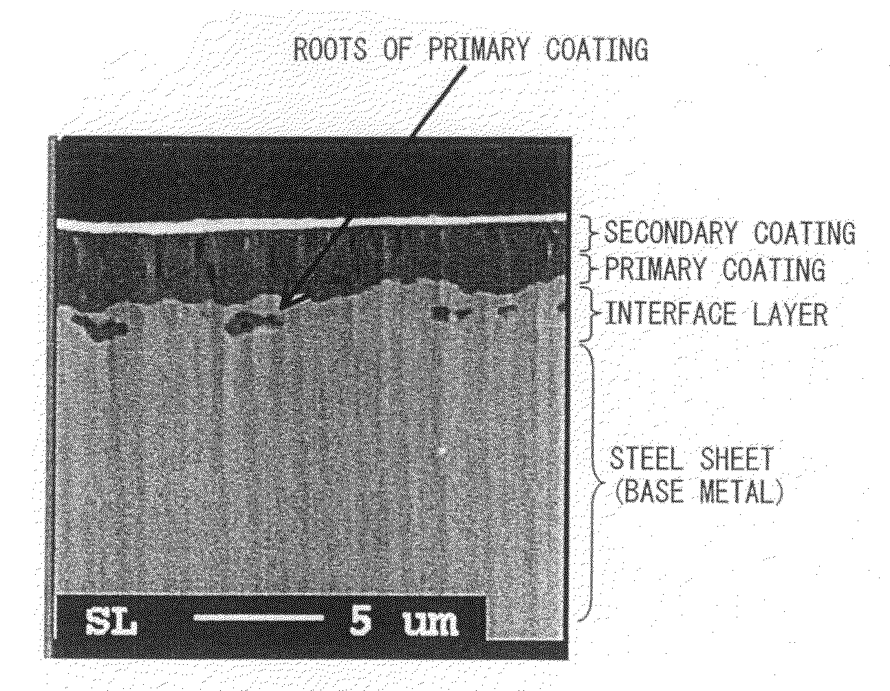 Grain-oriented electrical steel sheet excellent in  coating adhesion and method of producing the same