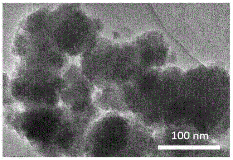 Application of Metallofullerene Single Crystal Nanoparticles in Preparation of Specific Tumor Vascular Blocker