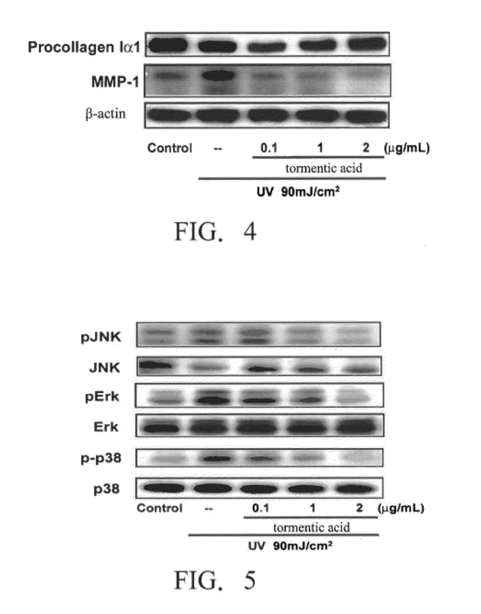 Method for inhibiting activity and/or expression of matrix metalloproteinase, inhibiting phosphorylation of mitogen-activated protein kinase, and/or promoting expression of collagen using tormentic acid