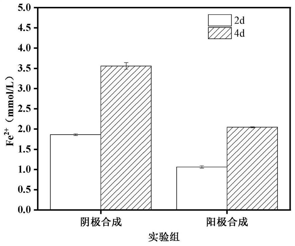 In situ synthesis of nano-sulfur-iron hybrid biofilm electrode and its preparation method and application