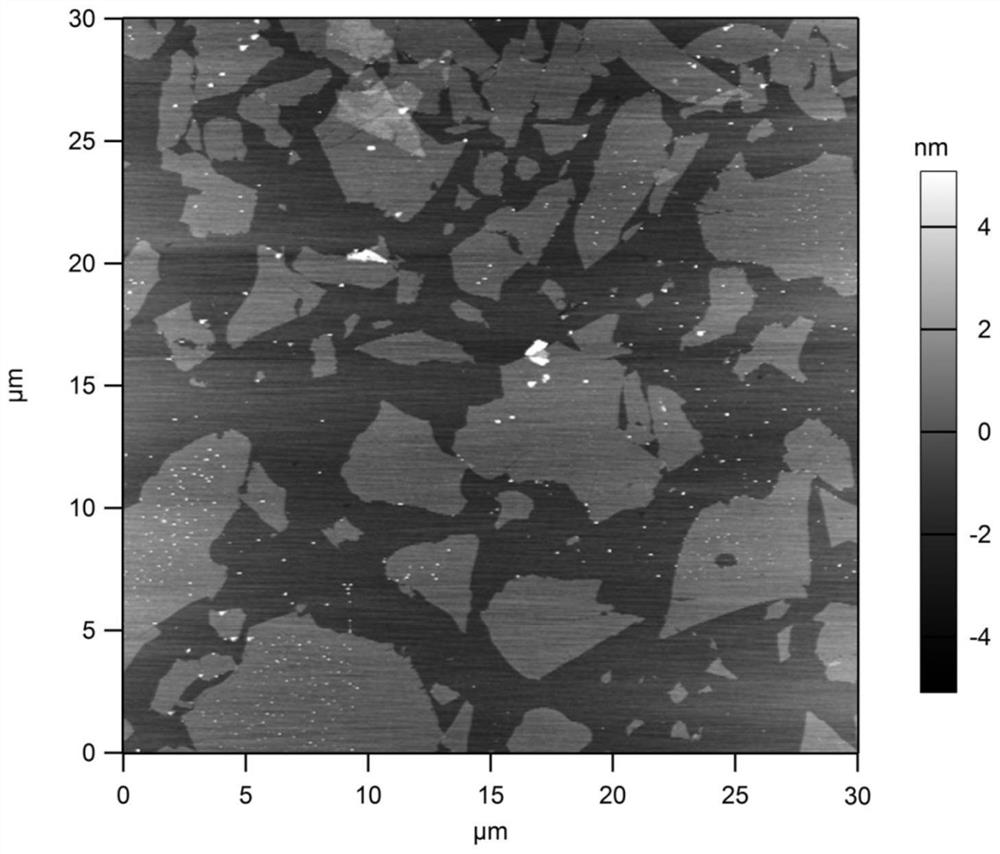 Two-dimensional material, preparation and assembly method and application of two-dimensional material in artificial nerve component