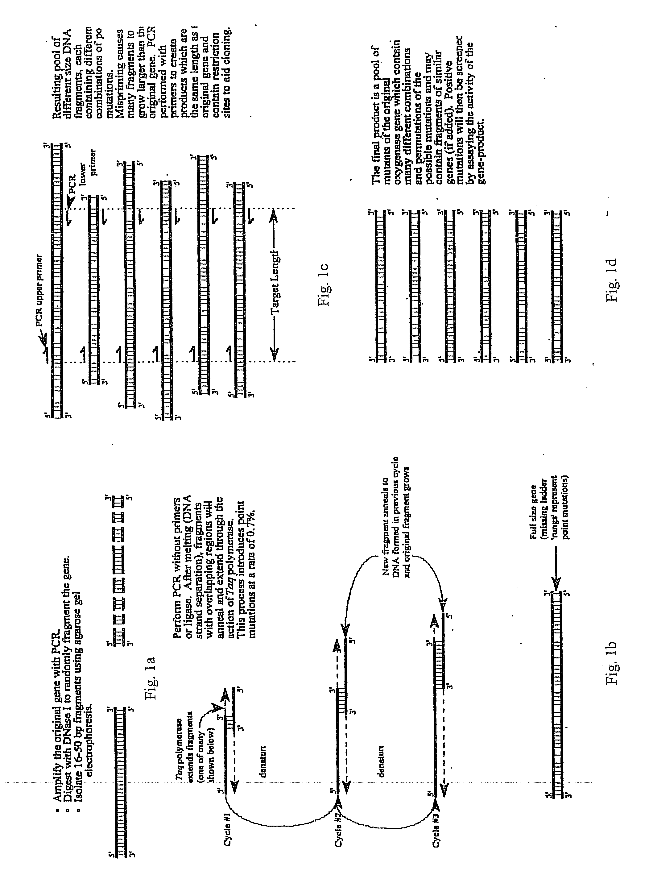 Dental materials, methods of making and using the same, and articles formed therefrom