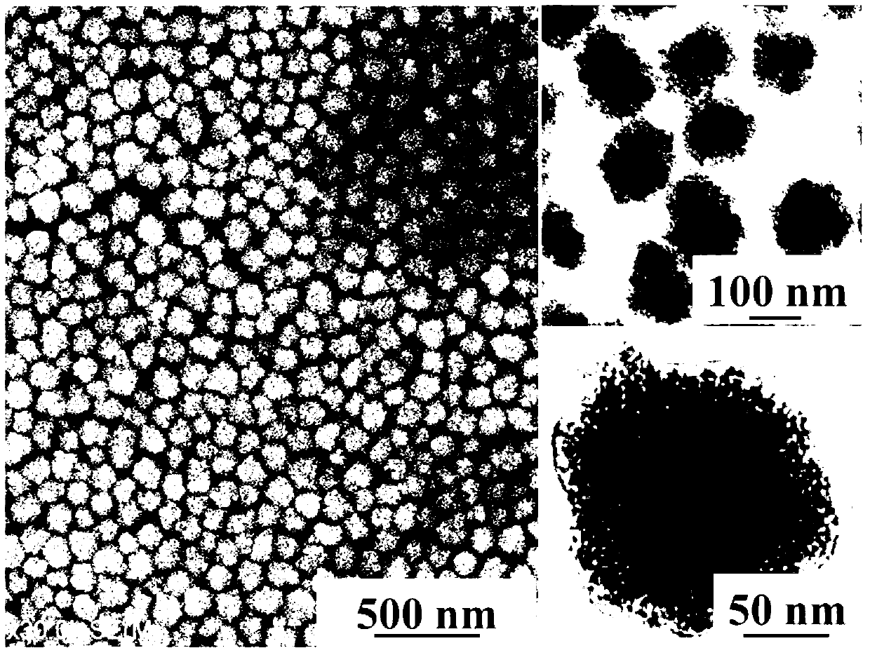 Monodisperse superparamagnetic nano crystal colloidal core-shell composite particles and preparation method thereof