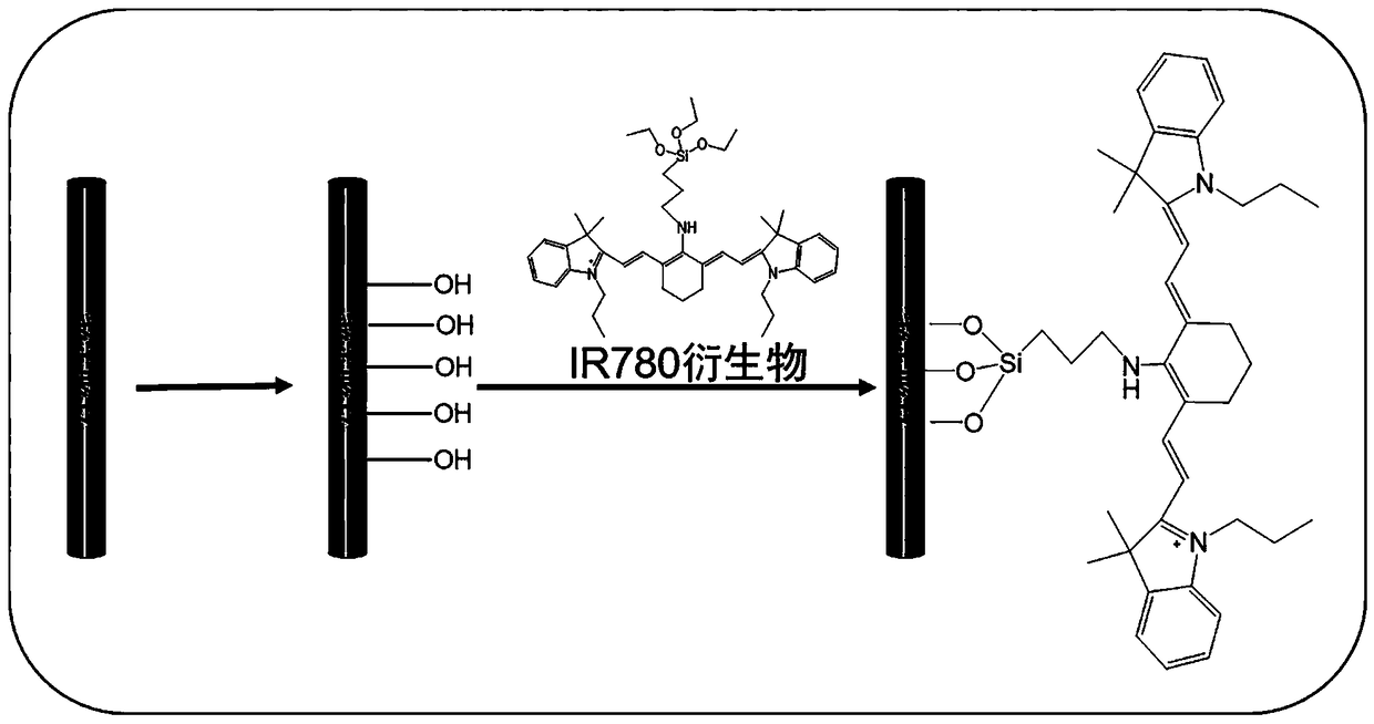 Single-silicon nanowire fluorescent chemical sensor for detecting hypochlorite and preparation method and application of single-silicon nanowire fluorescent chemical sensor