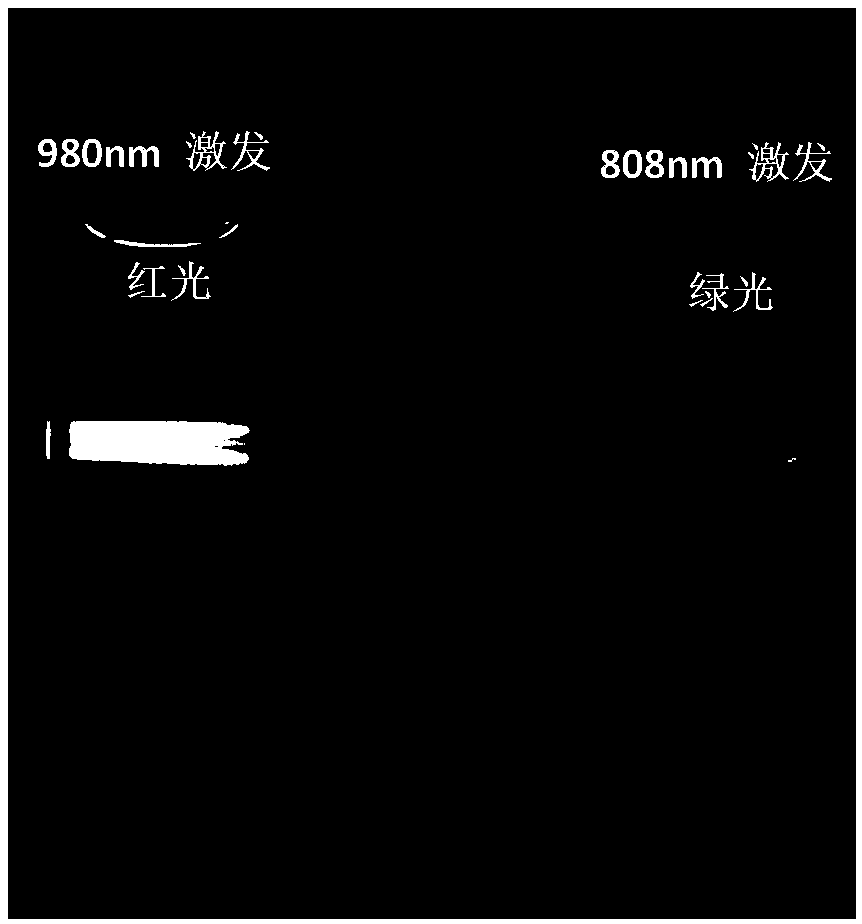 Lattice defect-control orthogonal-emission rare earth upconversion nanoparticle and preparation method