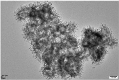 A hollow nickel molybdate nanoflower assembled from nanosheets and its preparation method