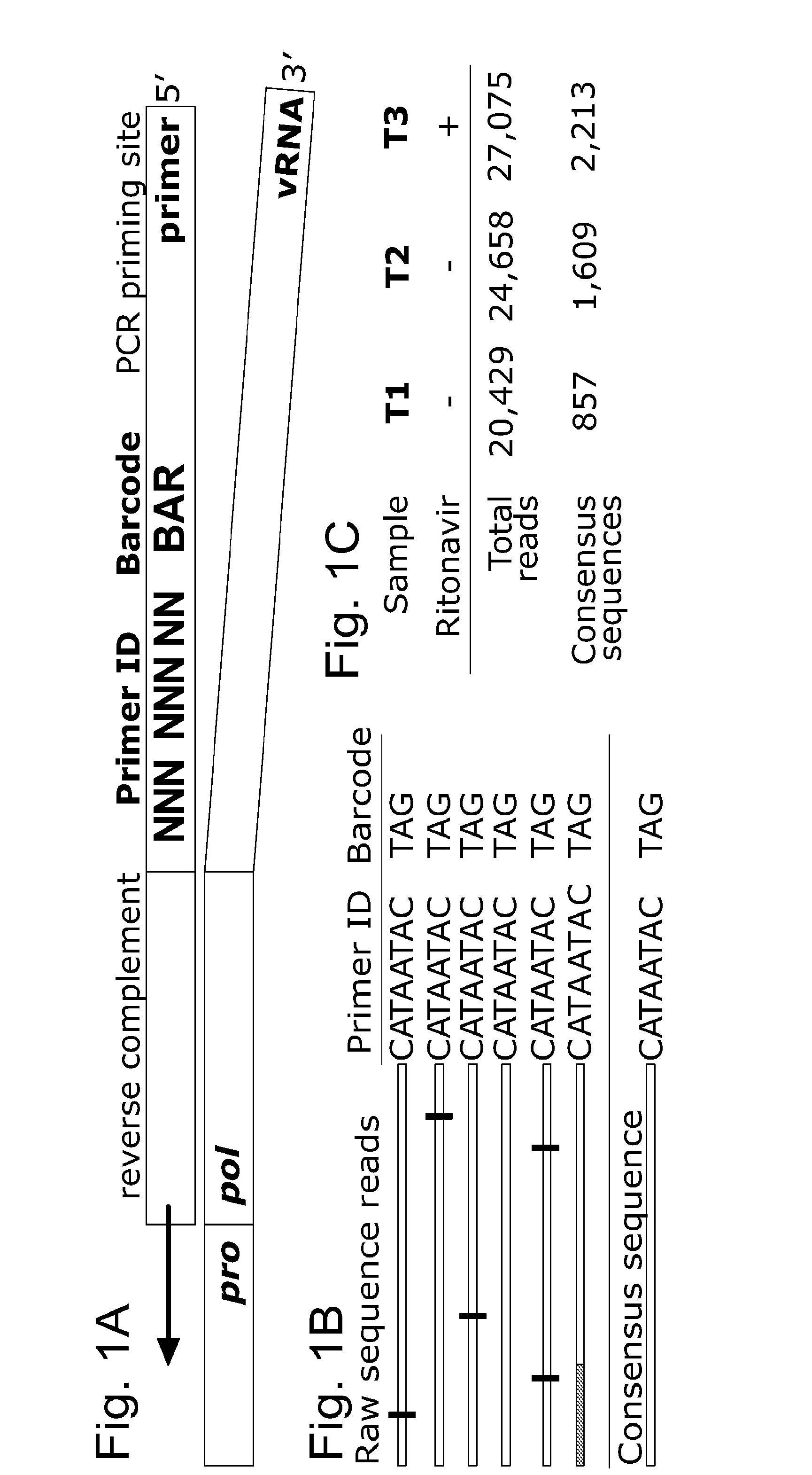 Methods and uses for molecular tags