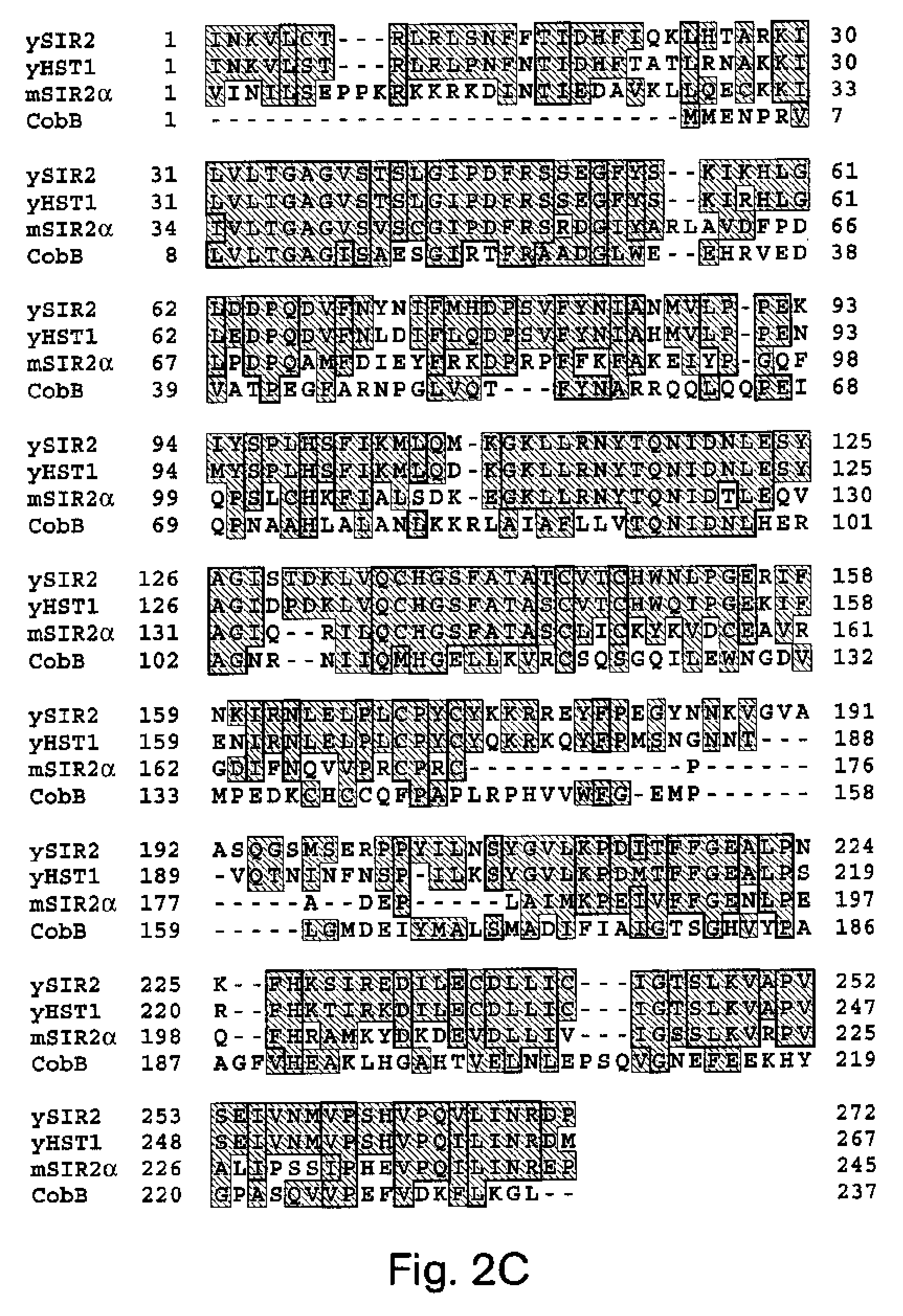 Methods for identifying agents which alter histone protein acetylation, decrease aging, increase lifespan