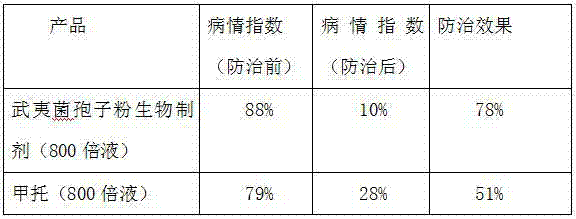 Wuyiencin spore powder and production technology thereof