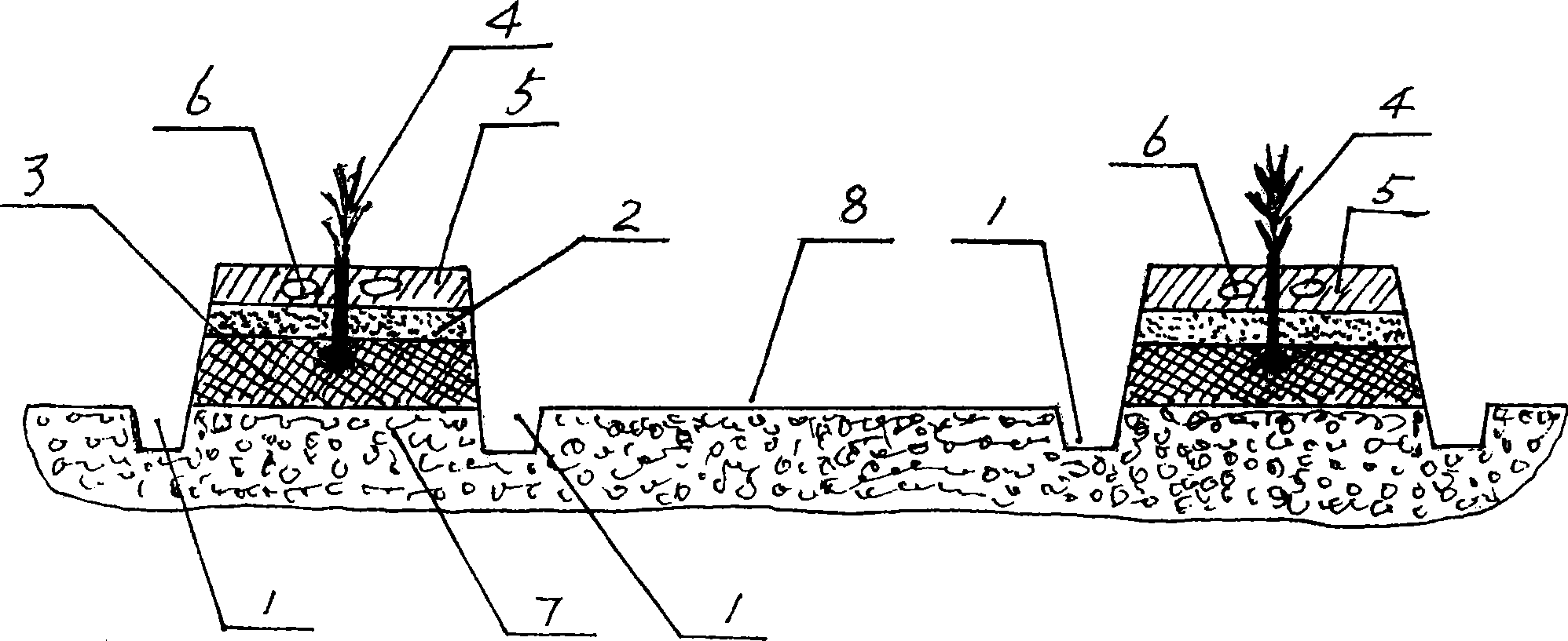 Ridge shallow-growing root-limiting cultivating method of grape