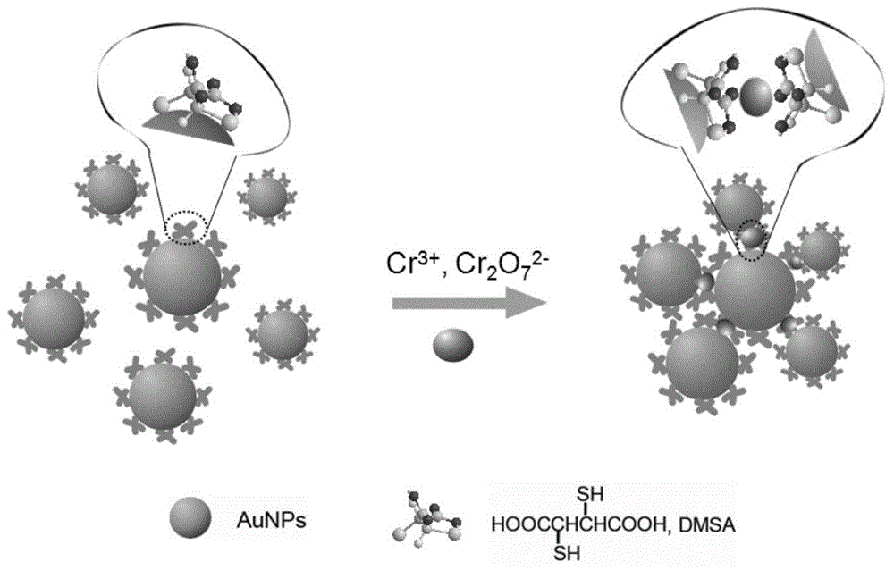 Method for detecting tervalent and hexavalent chromium ions simultaneously by use of gold nanoparticles