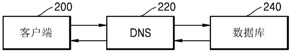 Domain name system (DNS) and domain name service method based on user information