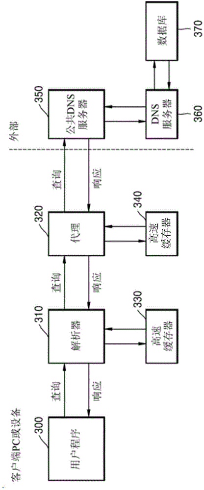 Domain name system (DNS) and domain name service method based on user information