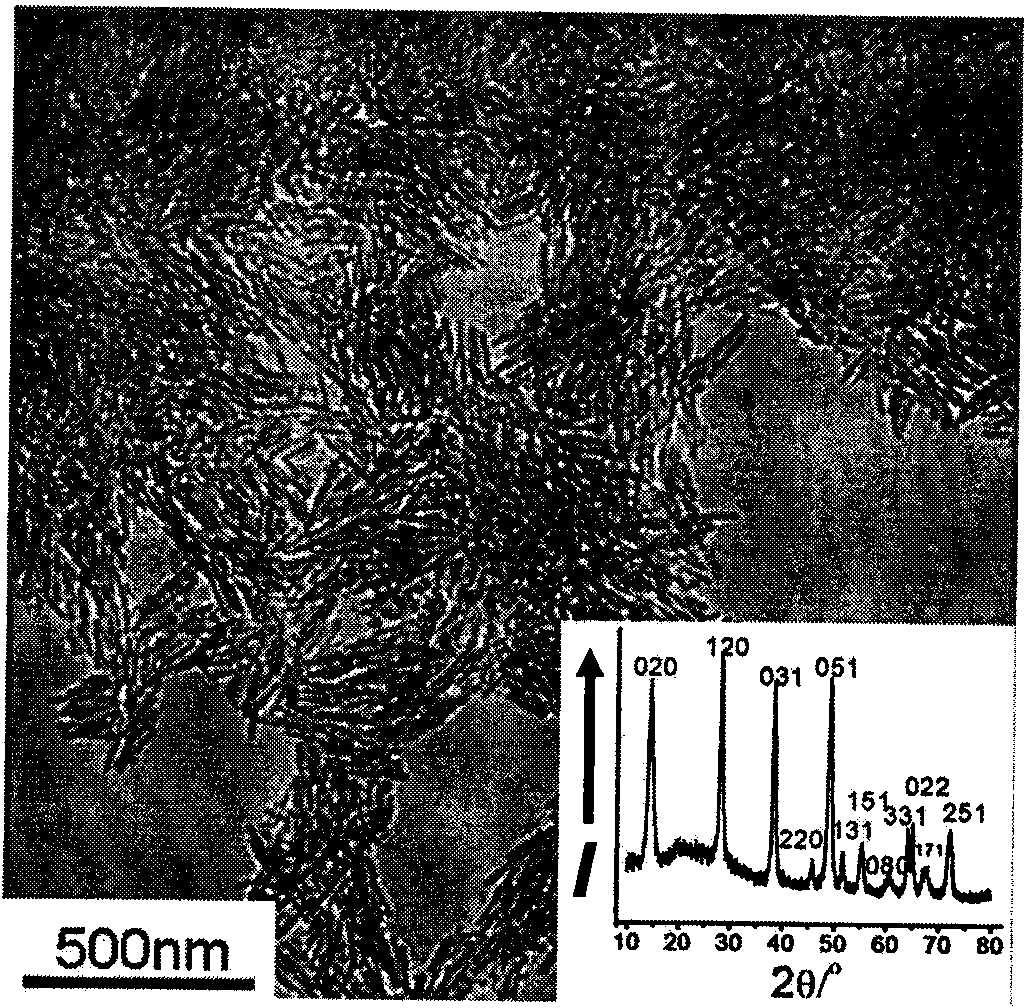 Preparation method for gamma-alumina nanotube with prior exposure of (111) face