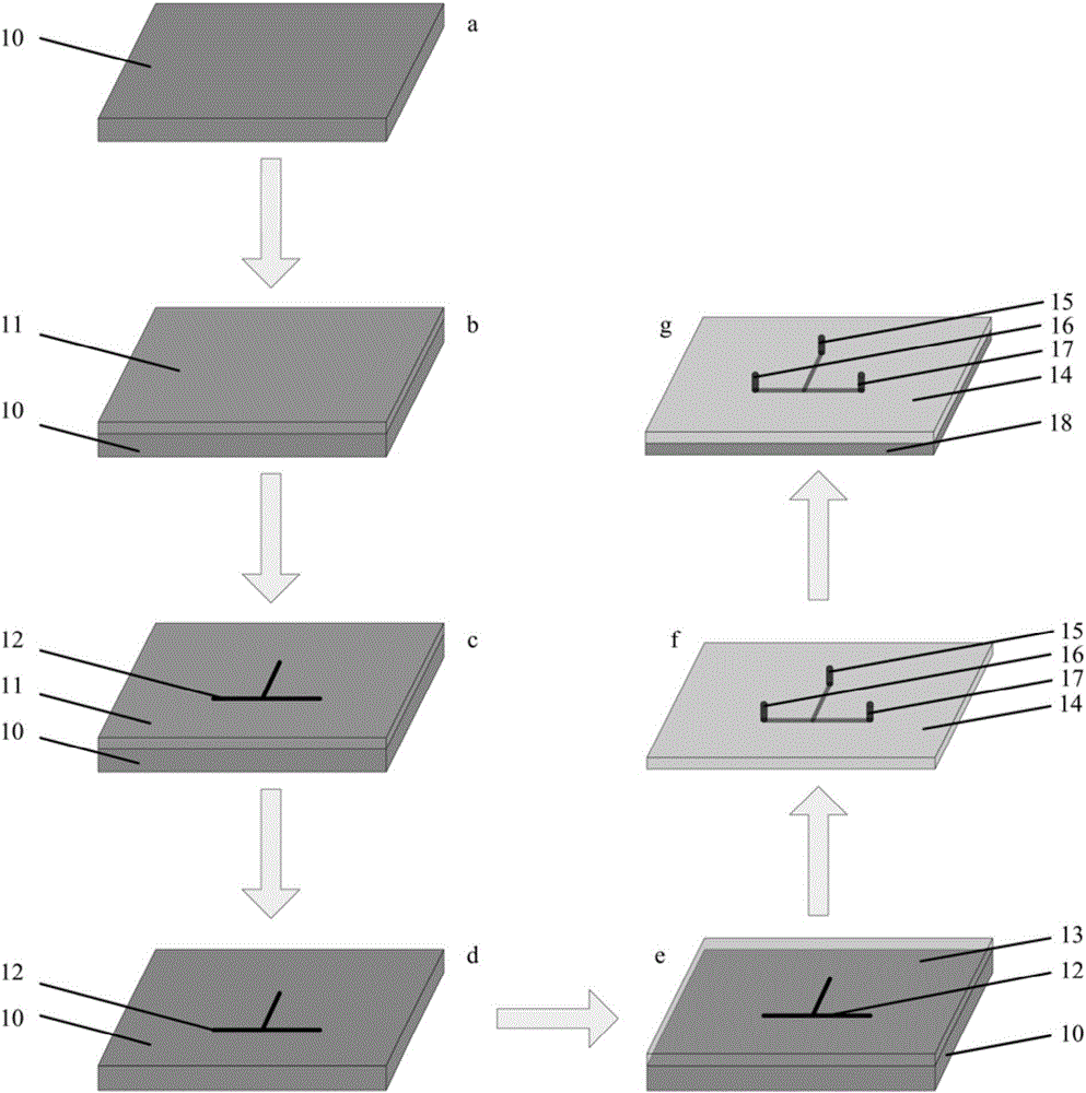 Microfluidic chip shear flow based microcapsule preparation method