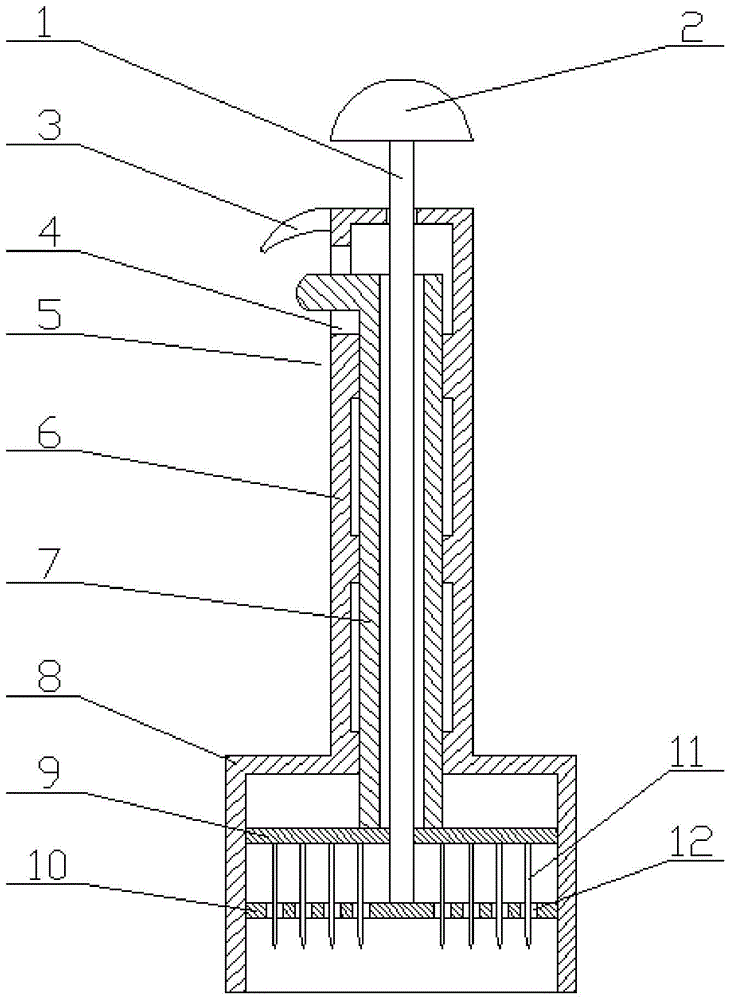 Mouse early embryo acquisition device and acquisition method