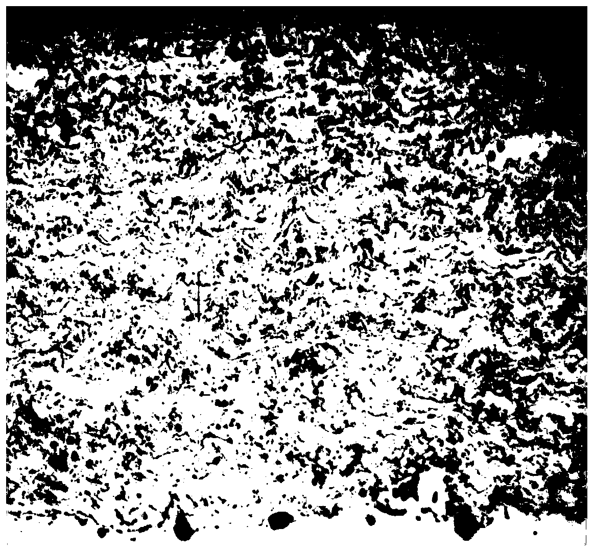 Metallographic preparation method of coating