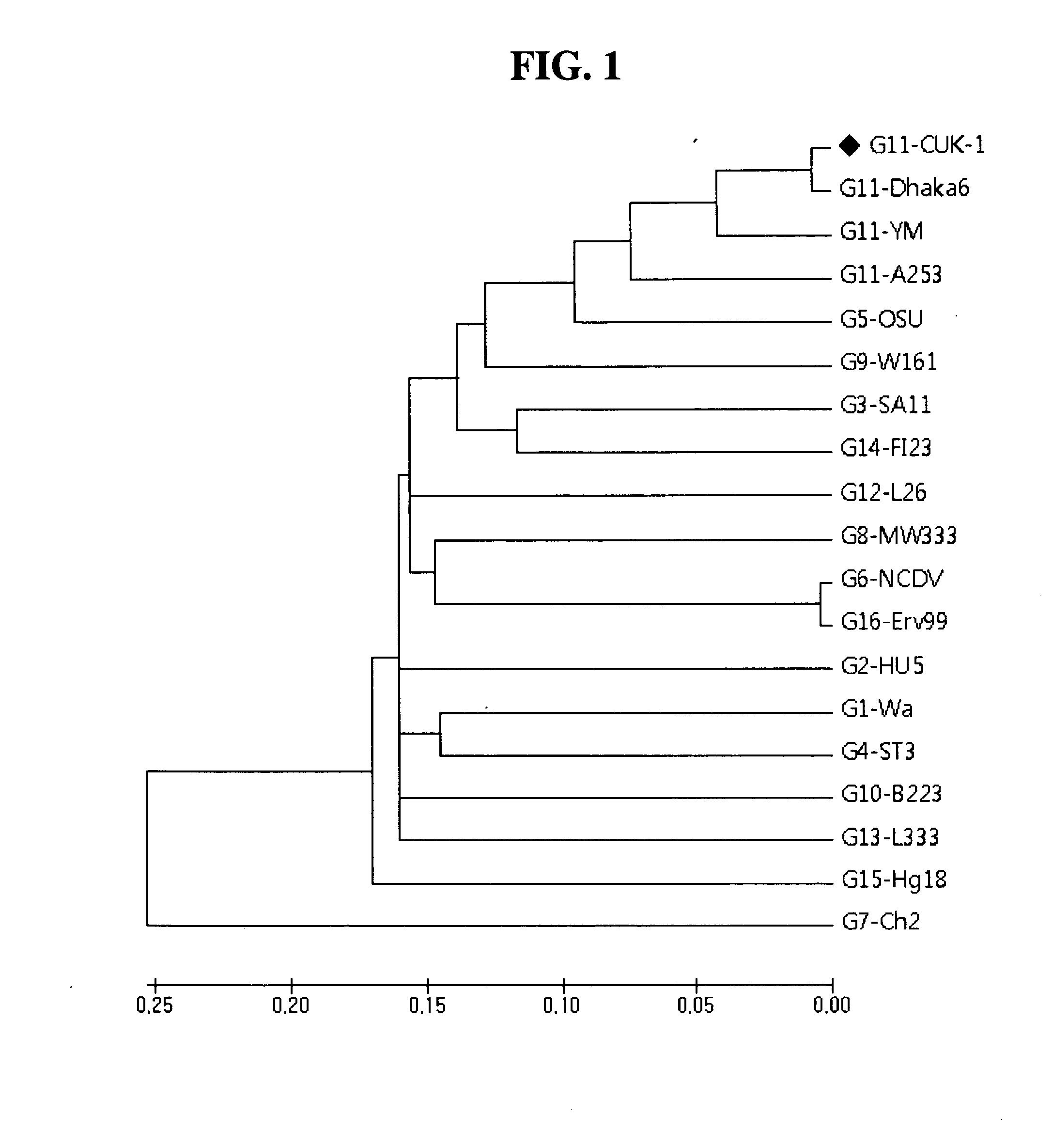 VP7 gene of human rotavirus and composition for diagnosis of human rotavirus infection comprising primer or probe specific to thereof