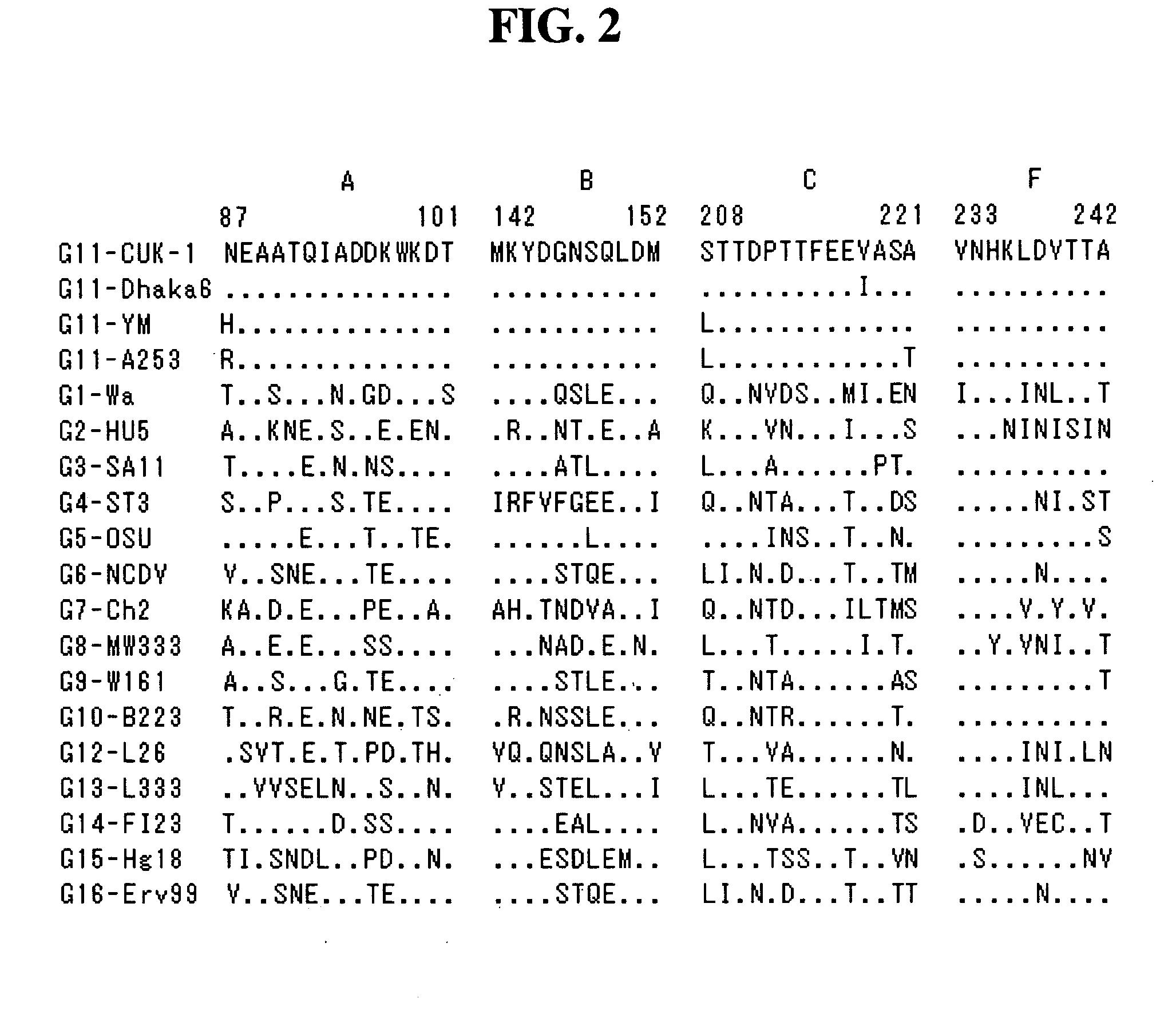 VP7 gene of human rotavirus and composition for diagnosis of human rotavirus infection comprising primer or probe specific to thereof