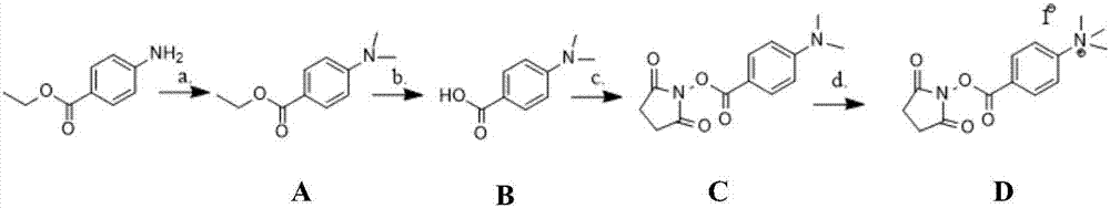 Preparation method of amboryl ester type sugar marker with permanent charges and application