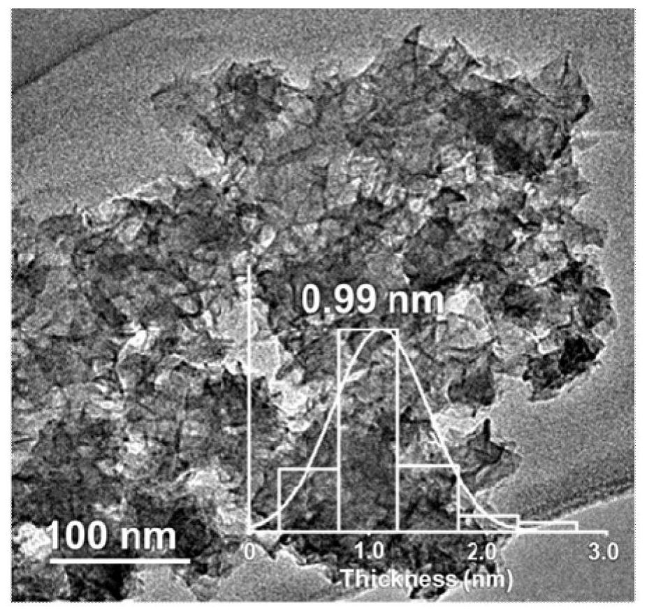 Single-layer hydrotalcite nano material and application thereof in efficient mineralization removal of high-concentration heavy metal ions in wastewater