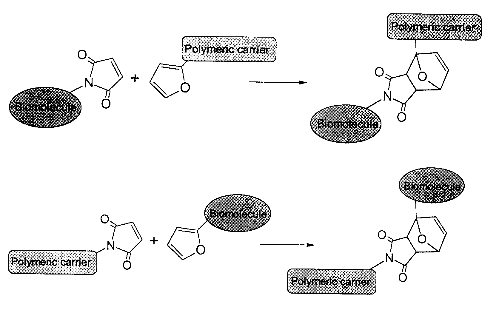 Method of biomolecule immobilization on polymers using click-type chemistry