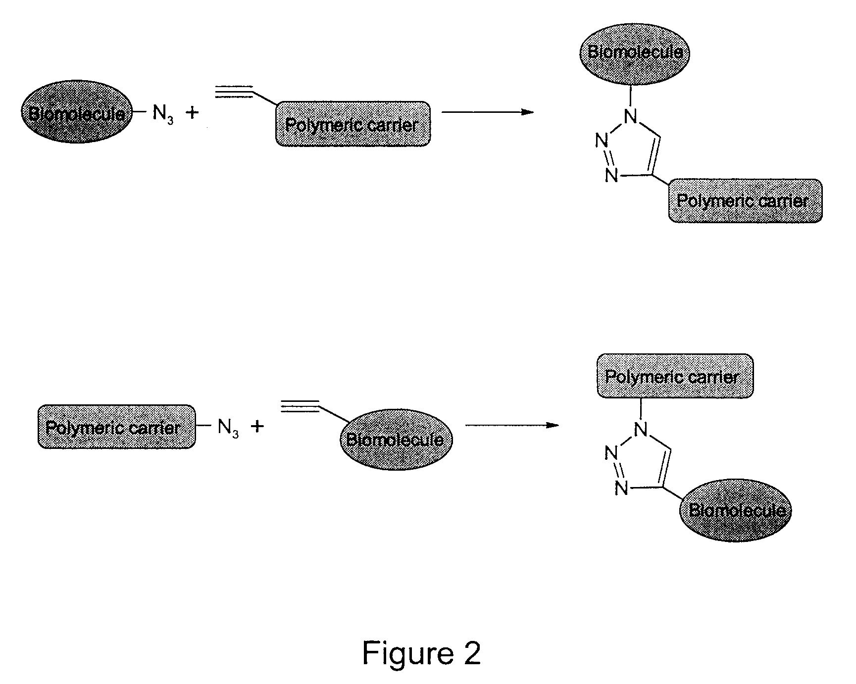 Method of biomolecule immobilization on polymers using click-type chemistry